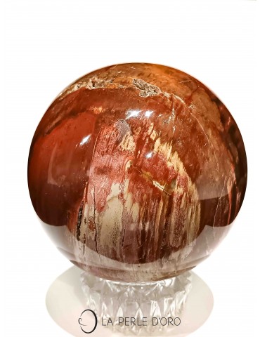 Fossilized wood sphere (or...