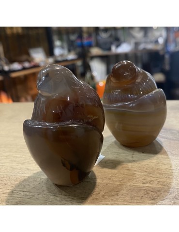 Agate grise, Aiglon,...