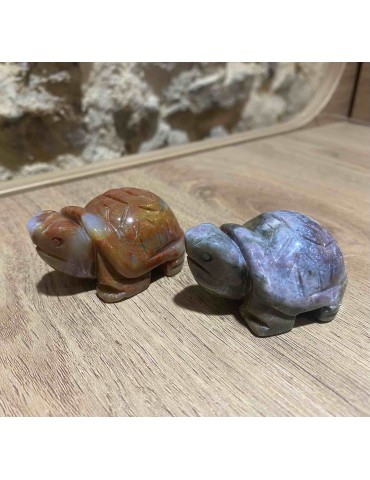 Agate indienne, Tortue 5cm...