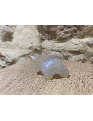 Tortue en pierre semi...