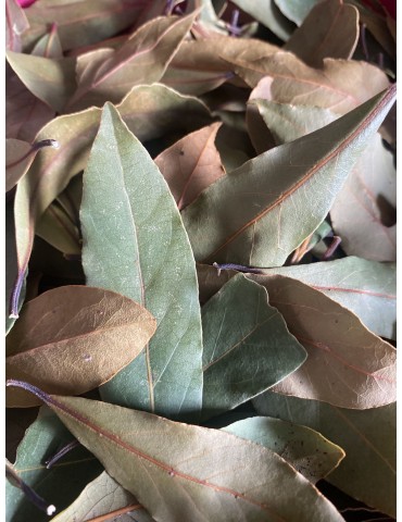 Laurier naturel, feuilles...
