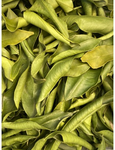 Mandarinier naturel,...