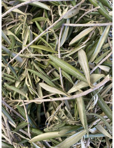 Olivier naturel, feuilles...