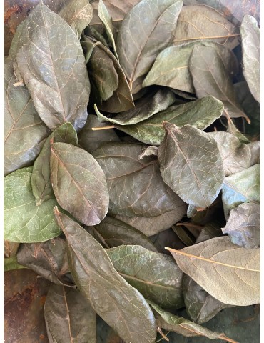 Laurier tin naturel,...