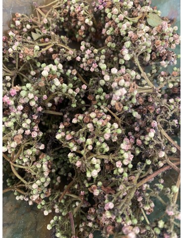 bougeons de laurier tin