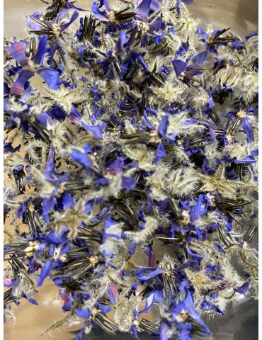 Bourrache naturelle...